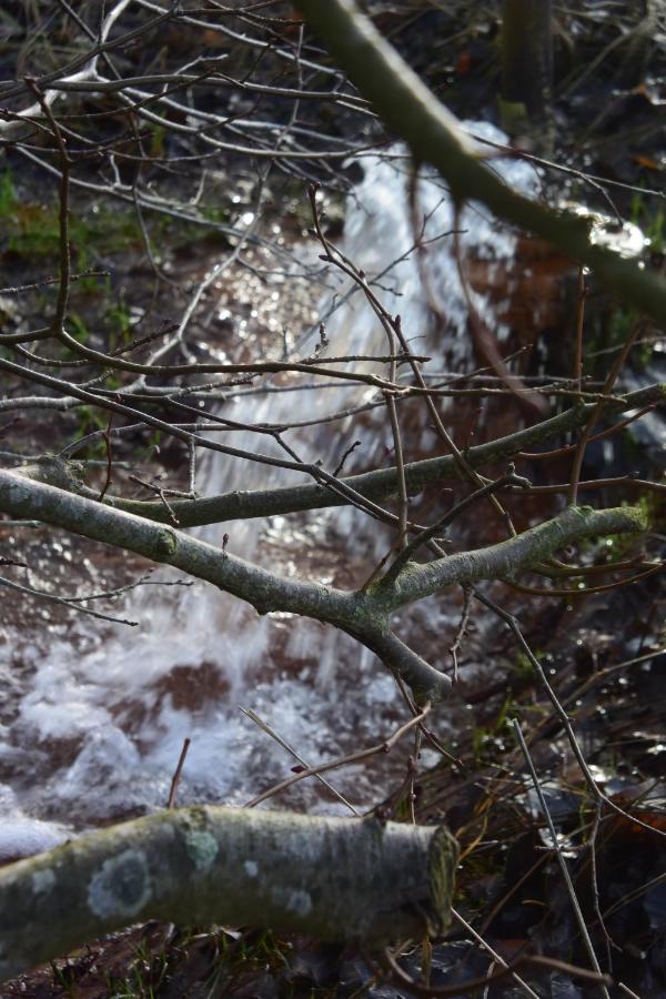 Vittebrook Lägenhet Barsbek Exteriör bild